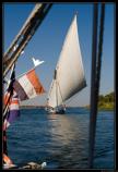 b071123 - 5967 - Felouque