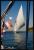 b071123 - 5967 - Felouque
