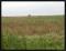 b130131 - hx20v - 0358