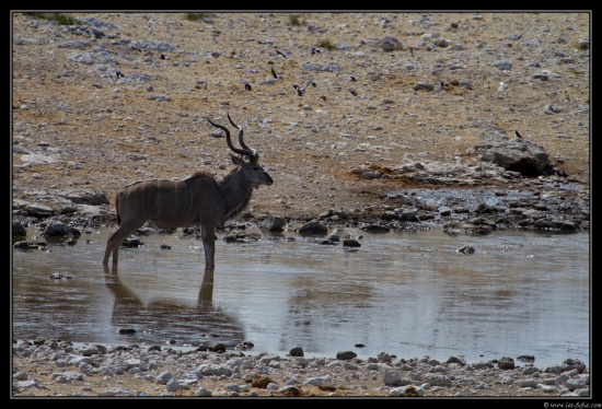 Namibie