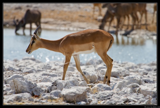 Namibie