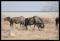 Namibie