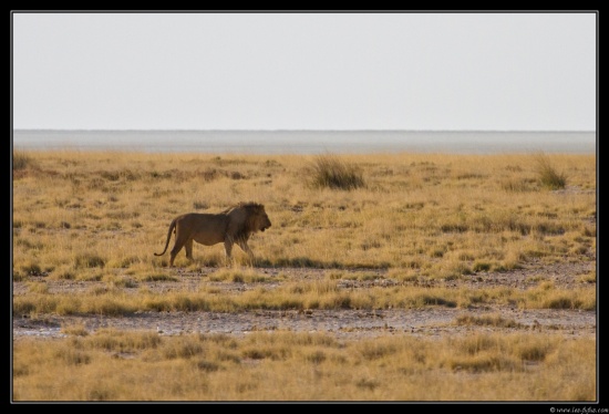 Namibie