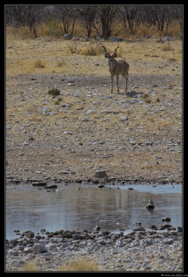 Namibie