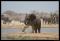 Namibie