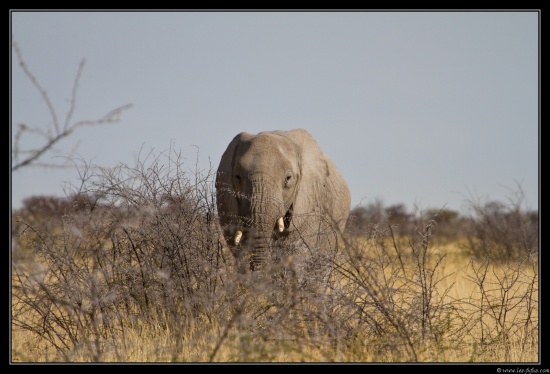 Namibie