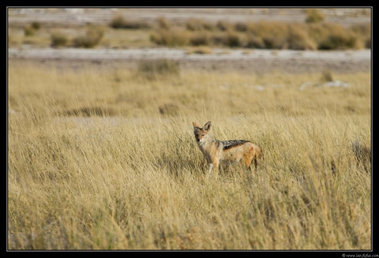 Namibie