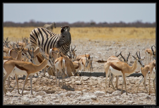 Namibie