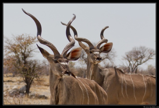 Namibie