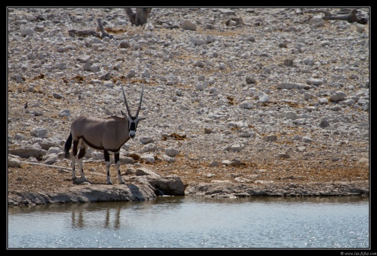 Namibie