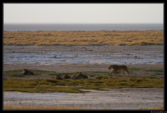 Namibie