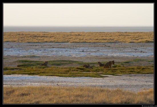 Namibie