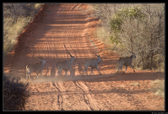 Namibie