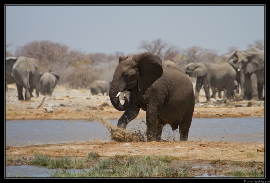 Namibie