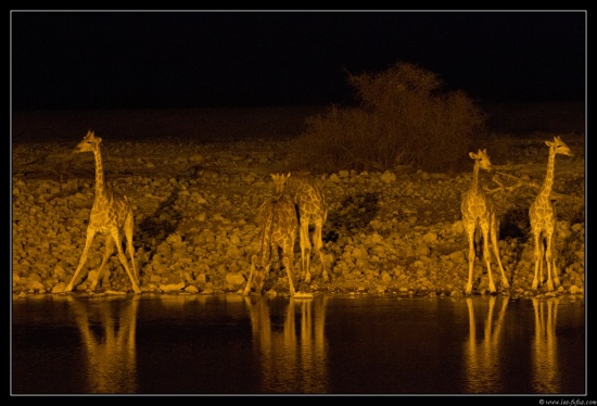 Namibie