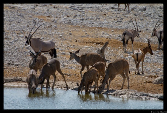 Namibie