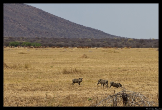 Namibie