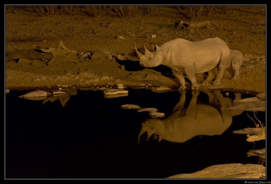 Namibie