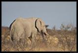 Namibie