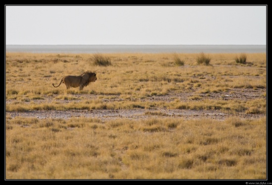 Namibie