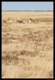 Namibie