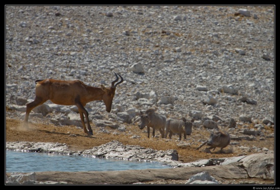 Namibie