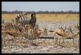 Namibie