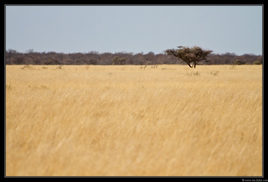 Namibie