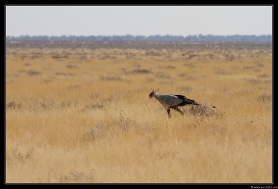 Namibie