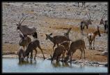Namibie