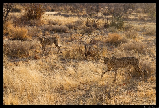 Namibie