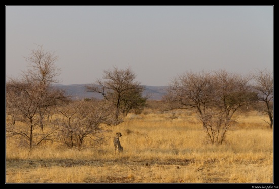 Namibie