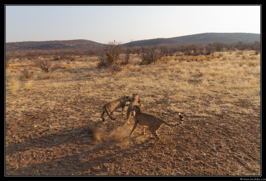 Namibie