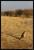 Namibie
