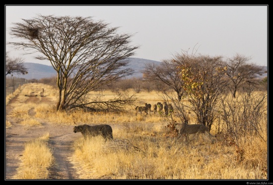 Namibie