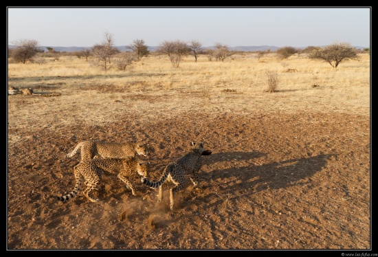 Namibie