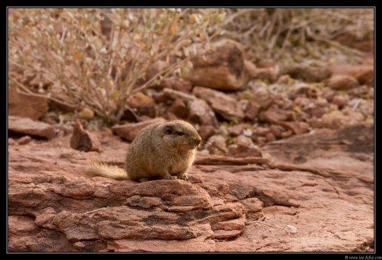 Namibie