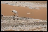 Namibie