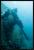 Sharm el Sheikh 2023