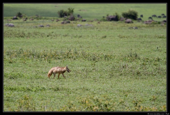 Tanzanie 2014