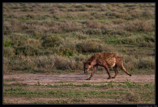 Tanzanie 2014