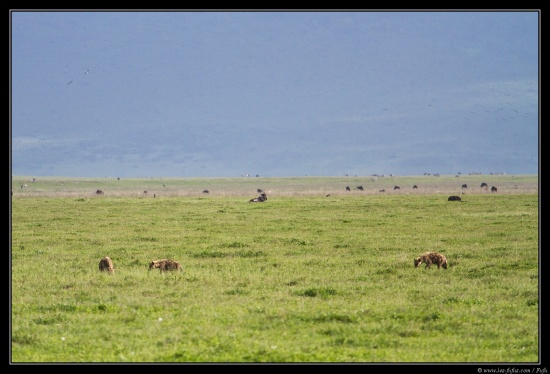 Tanzanie 2014