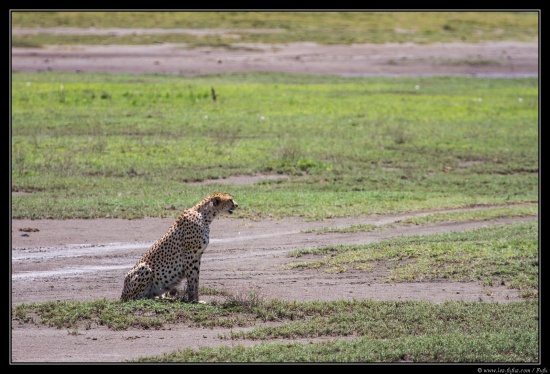 Tanzanie 2014