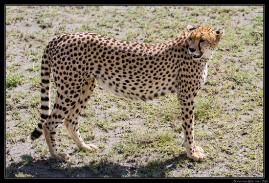 Tanzanie 2014
