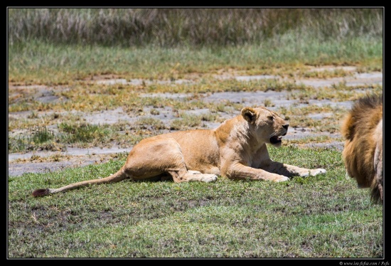 Tanzanie 2014