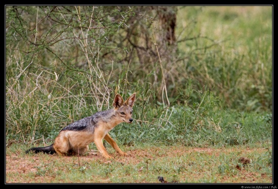 Tanzanie 2014