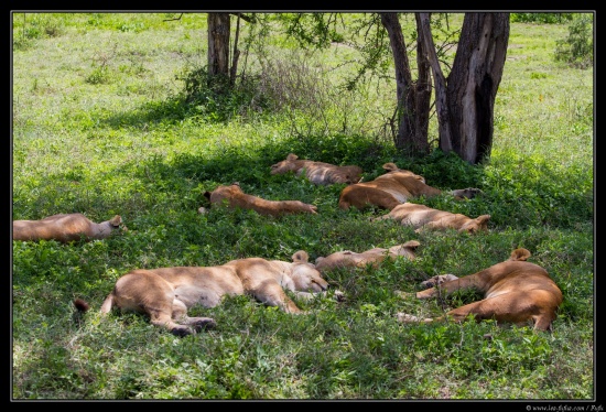 Tanzanie 2014