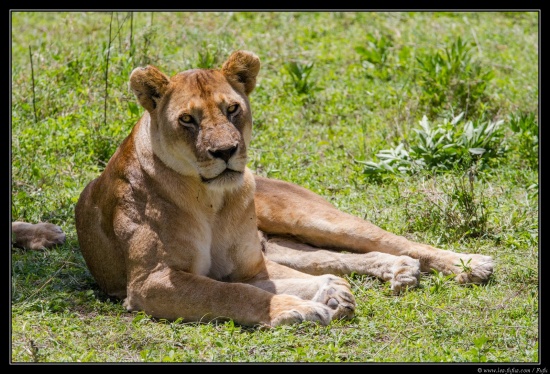 Tanzanie 2014