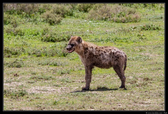 Tanzanie 2014