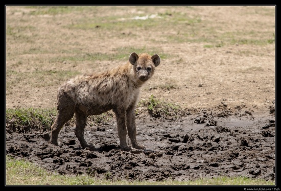 Tanzanie 2014